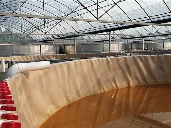 戶外支架水池